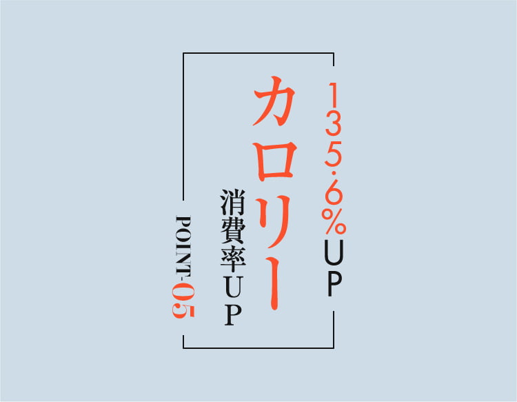公式】BELMISE|ベルミス スリムウォーマーヒートプラス 裏起毛 公式】BELMISE|ベルミス スリムウォーマーヒートプラス 裏起毛