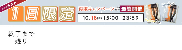 公式】BELMISE｜ベルミス スリムウォーマーヒートプラス 裏起毛タイツ
